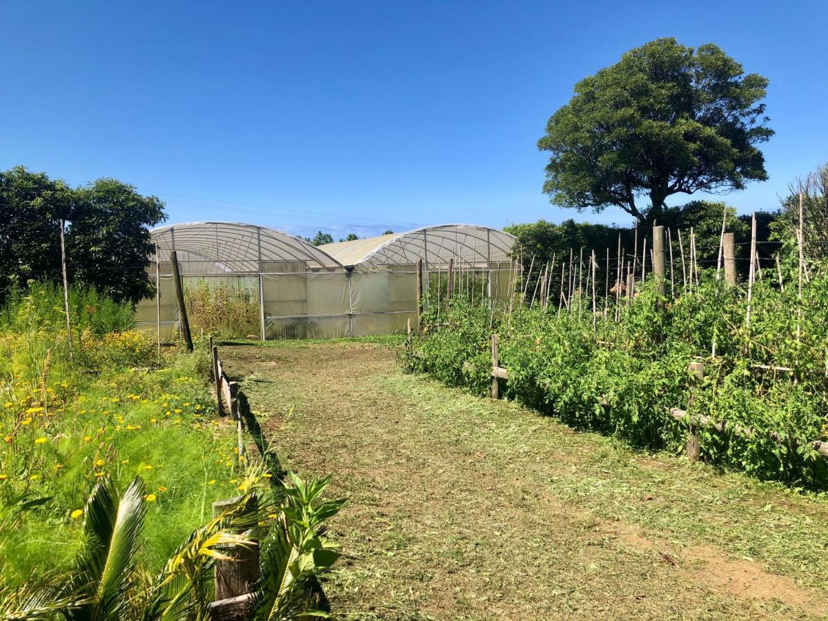 Quinta Dos Sabores Farm Houses Ribeira Grande Εξωτερικό φωτογραφία